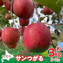 【ふるさと納税】<2025年9月下旬~10月中旬頃までのお届け> 北海道壮瞥町 りんご 品種名「サンつがる」8~11玉約3kg【 ふるさと納税 人気 おすすめ ランキング りんご リンゴ 林檎 サンつがる 甘い 北海道 壮瞥町 送料無料 】SBTF001