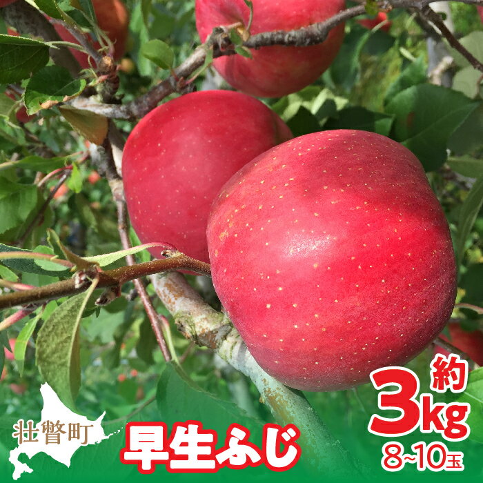 6位! 口コミ数「0件」評価「0」＜2024年10月中旬よりお届け＞ 北海道壮瞥町 りんご 品種名「早生ふじ」8～10玉約3kg ふるさと納税 人気 おすすめ ランキング り･･･ 