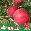【ふるさと納税】<2025年10月中旬よりお届け> 北海道壮瞥町 りんご 品種名「早生ふじ」8〜10玉約3kg 【 ふるさと納税 人気 おすすめ ランキング りんご リンゴ 林檎 早生ふじ ふじ 昴林 紅将軍 北海道 壮瞥町 送料無料 】SBTF002(4)
