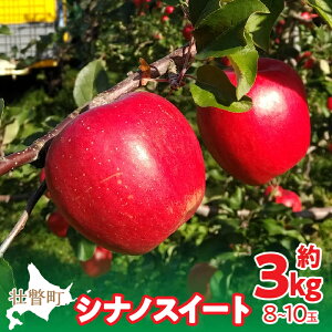 【ふるさと納税】<2025年10月下旬よりお届け> 北海道壮瞥町 りんご 「シナノスイート」8〜10玉約3kg 【 ふるさと納税 人気 おすすめ ランキング りんご リンゴ 林檎 シナノスイート 甘い ジューシー 北海道 壮瞥町 送料無料 】SBTF003