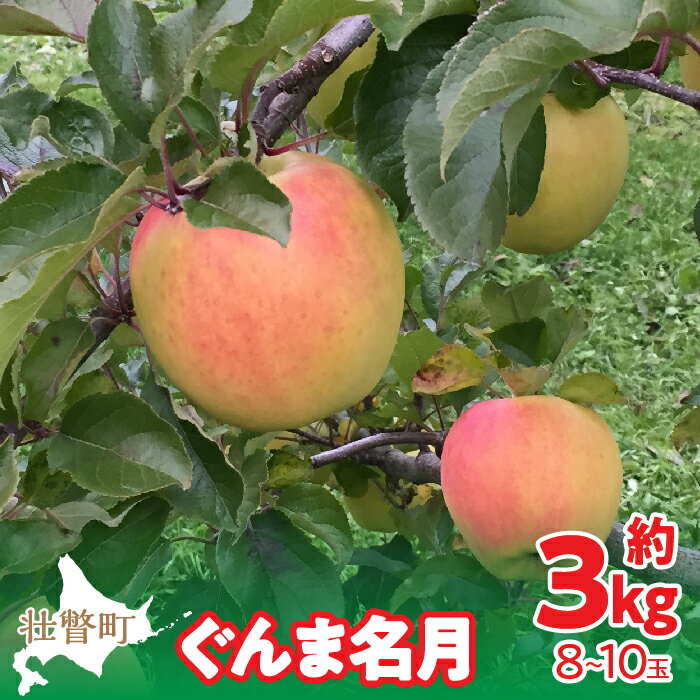 【ふるさと納税】＜2025年11月中旬よりお届け＞ 北海道壮瞥町 りんご 「ぐんま名月」8〜10玉約3kg ふるさと納税 人気 おすすめ ランキング りんご リンゴ 林檎 ぐんま名月 甘い 蜜 北海道 壮瞥町 送料無料 SBTF004