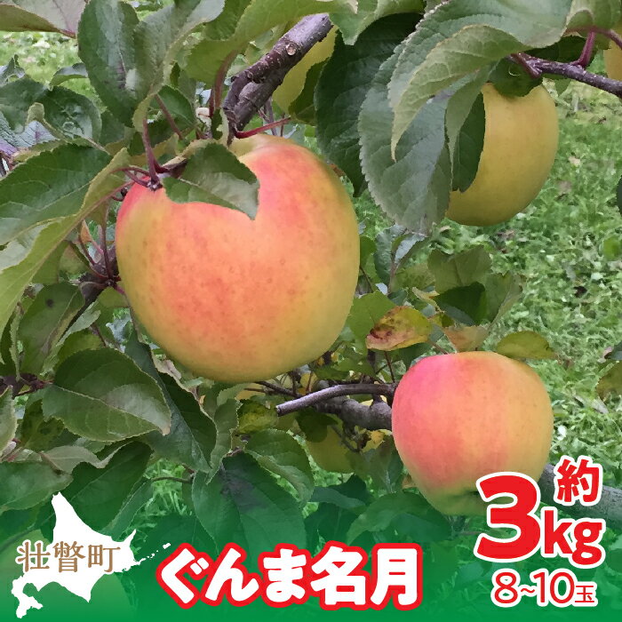 13位! 口コミ数「0件」評価「0」＜2024年11月中旬よりお届け＞ 北海道壮瞥町 りんご 「ぐんま名月」8～10玉約3kg ふるさと納税 人気 おすすめ ランキング りんご･･･ 