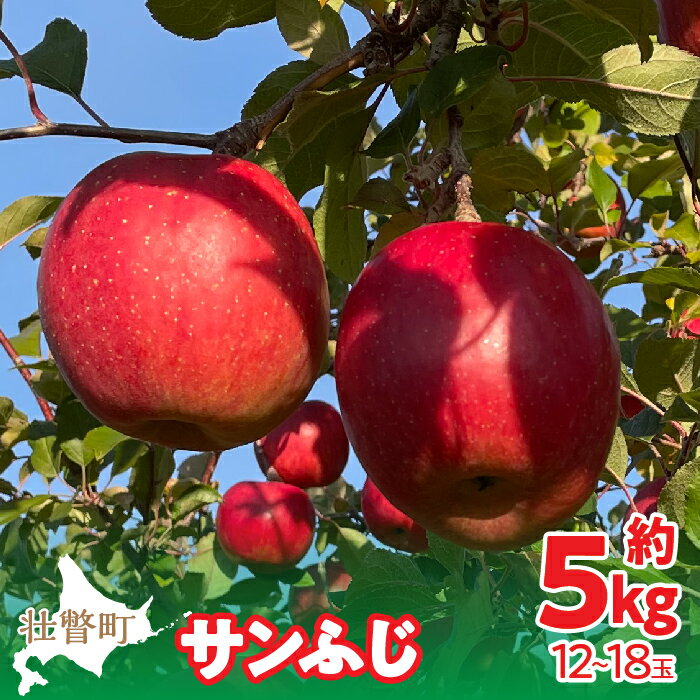 【ふるさと納税】＜2024年12月上旬よりお届け＞北海道壮瞥町　りんご　品種名「サンふじ」12～18玉約5kg ふるさと納税 人気 おすすめ ランキング りんご リンゴ 林檎 サンふじ ふじ 甘い ジューシー 北海道 壮瞥町 送料無料 SBTF007のサムネイル