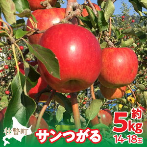 【ふるさと納税】<2025年9月下旬〜10月中旬頃までのお届け>北海道壮瞥町 りんご 品種名「サンつがる」14~18玉約5kg 【 ふるさと納税 人気 おすすめ ランキング りんご リンゴ 林檎 サンつがる 甘い 北海道 壮瞥町 送料無料 】SBTF010