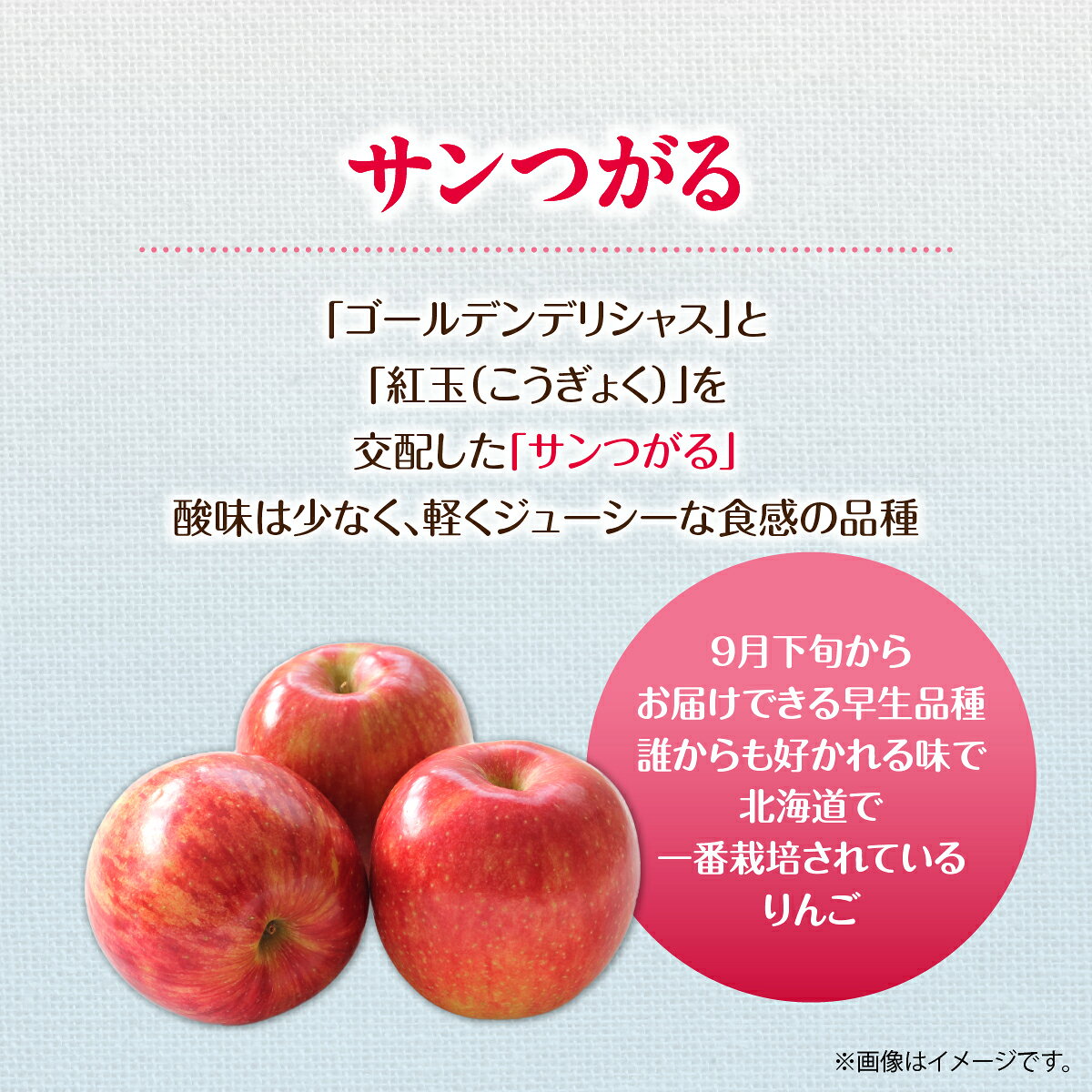 【ふるさと納税】北海道壮瞥町産りんご「サンつがる」約5kg(14～18玉)《2026年9月下旬よりお届け》 【りんご リンゴ 林檎 つがる サンつがる 蜜入り 5kg ジュース 果物 くだもの フルーツ 送料無料 】SBTF010 f015750-sobetsu-10000291 北海道壮瞥町 サンプル画像3