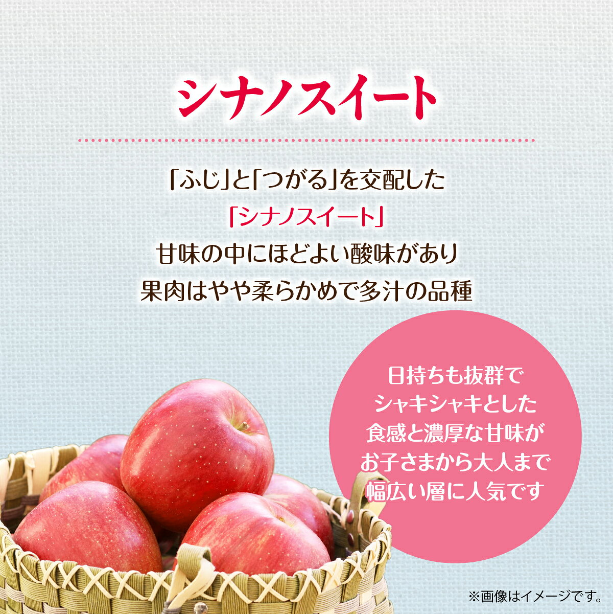 【ふるさと納税】【先行予約】北海道壮瞥町産りんご「シナノスイート」約3kg(8～10玉)《2026年10月下旬よりお届け》【 りんご リンゴ 林檎 シナノスイート 蜜入り 5kg ジュース 果物 くだもの フルーツ 送料無料 おすすめ ランキング コスパ 】SBTF003 f015750-sobetsu-10000514 北海道壮瞥町 サンプル画像2