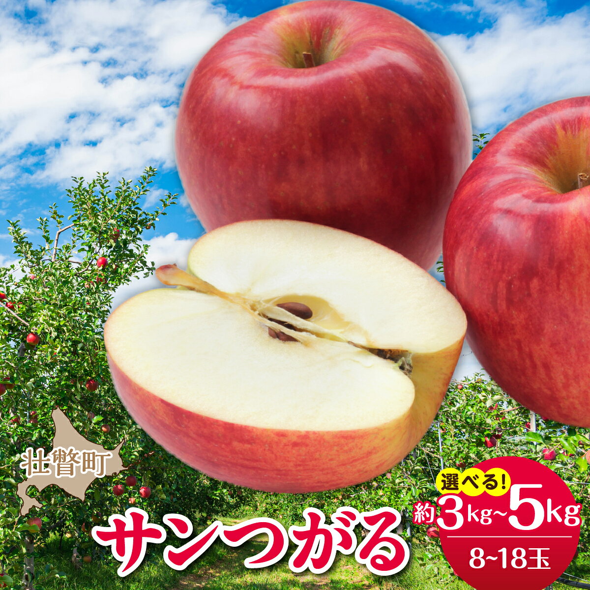[令和8年9月下旬より順次お届け]りんご サンつがる 選べる 約3kg・約5kg ジューシー シャキシャキ フジモリ果樹園 産地直送 北海道 壮瞥町