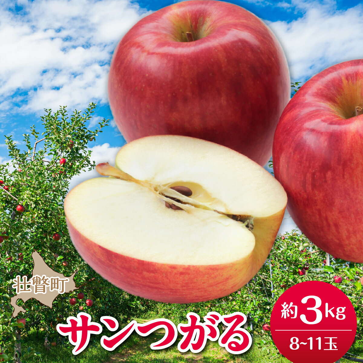 [先行予約]北海道壮瞥町産りんご「サンつがる」約3kg(8〜11玉)[2026年9月下旬よりお届け][ りんご リンゴ 林檎 つがる サンつがる 蜜入り 3kg ジュース 果物 くだもの フルーツ 送料無料 ]S
