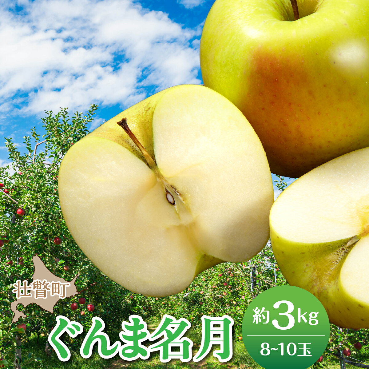 [先行予約]北海道壮瞥町産りんご「ぐんま名月」約3kg(8〜10玉) [2026年11月中旬よりお届け] [ りんご リンゴ 林檎 ぐんま名月 蜜入り 5kg ジュース 果物 くだもの フルーツ 送料無料 ]