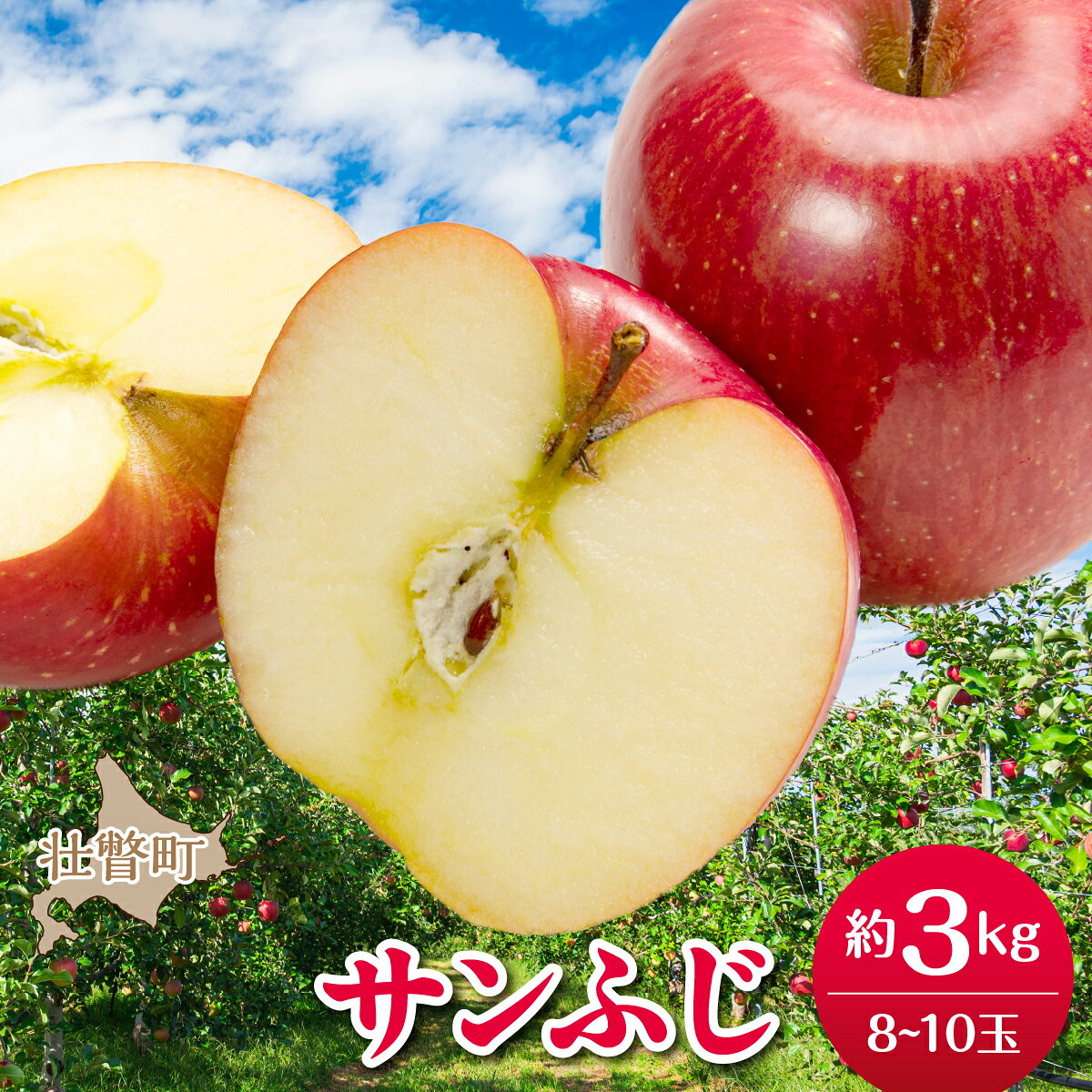 [先行予約]北海道壮瞥町産りんご「サンふじ」約3kg(8〜10玉)[2026年12月上旬にお届け] [ りんご リンゴ 林檎 ふじ サンふじ 蜜入り 5kg ジュース 果物 くだもの フルーツ 送料無料 ]