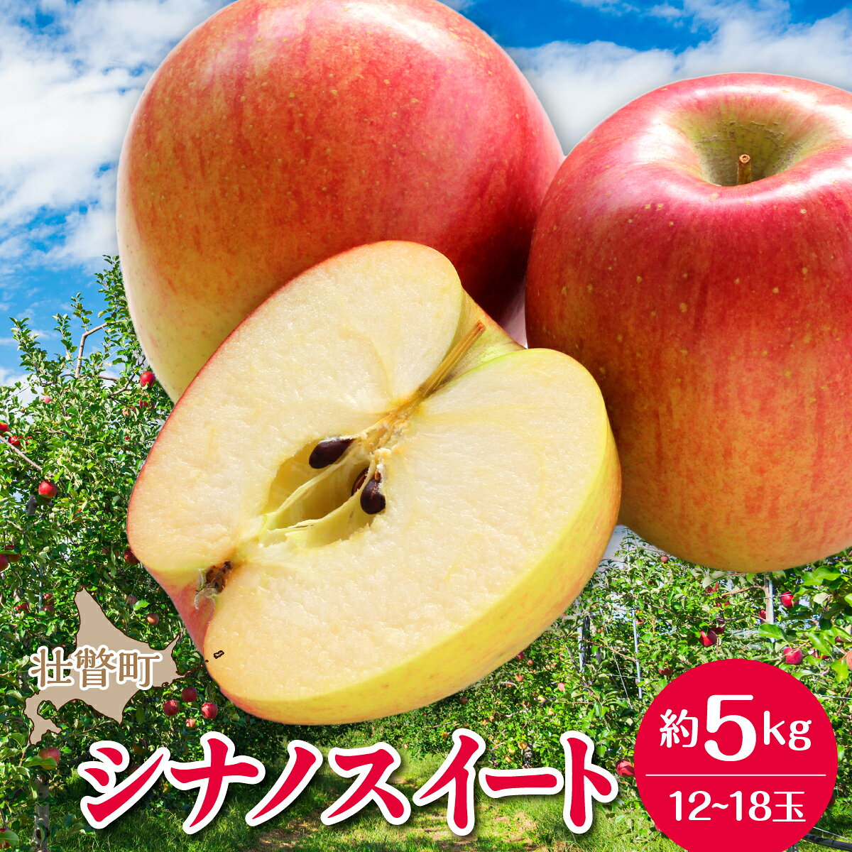 北海道壮瞥町産りんご「シナノスイート」約5kg(12～18玉)《2026年10月下旬よりお届け》 【 りんご リンゴ 林檎 シナノスイート 蜜入り 5kg ジュース 果物 くだもの フルーツ 送料無料】 SBTF012