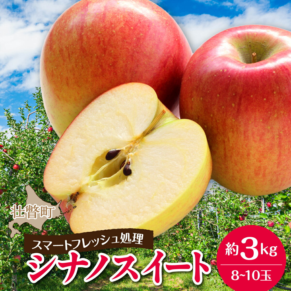 【ふるさと納税】北海道壮瞥町　りんご(スマートフレッシュ)　品種名「シナノスイート」8～10玉 約3kg　【 ふるさと納税 人気 おすすめ ランキング りんご リンゴ 林檎 シナノスイート 甘い ジューシー 北海道 壮瞥町 送料無料 】SBTF026