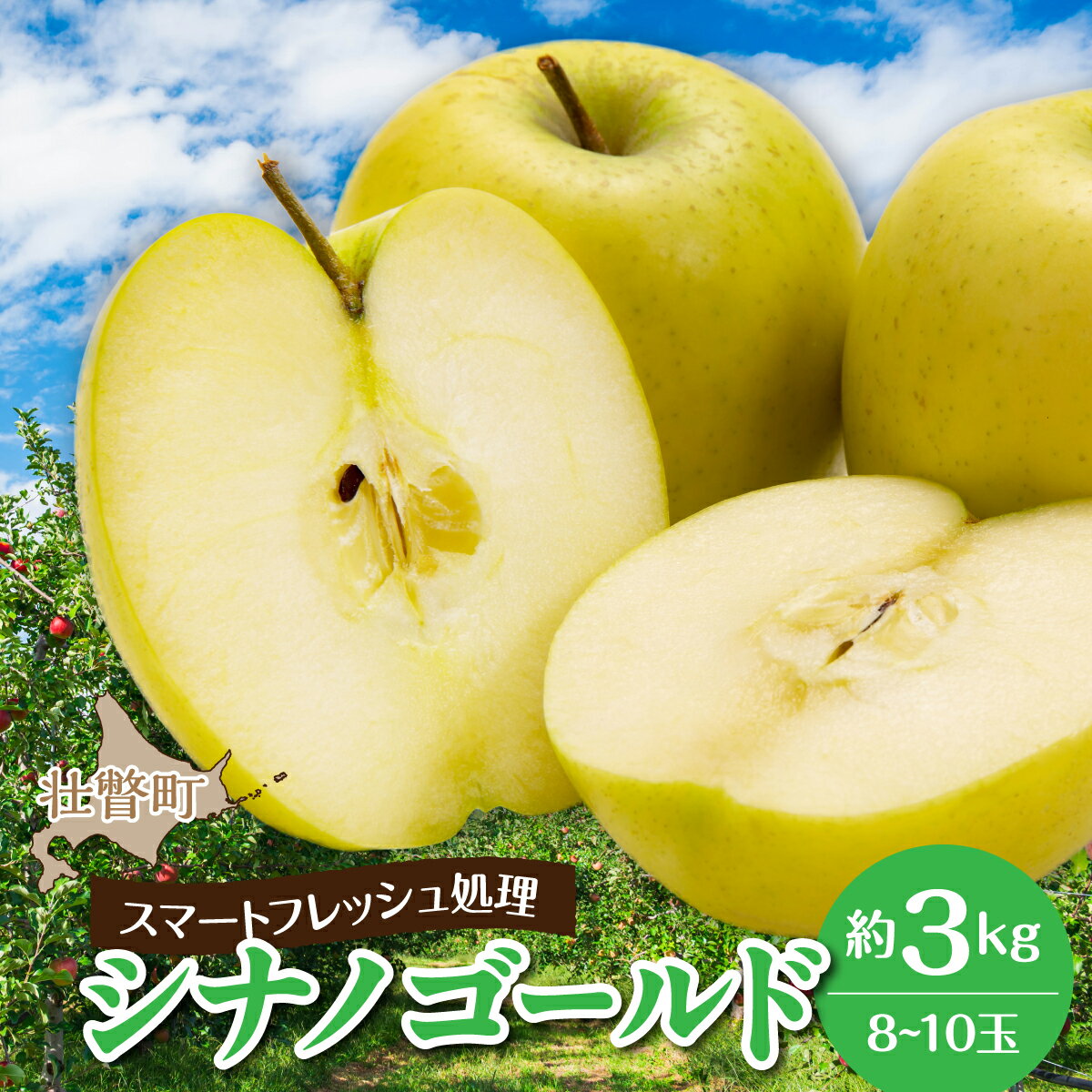 【ふるさと納税】北海道壮瞥町　りんご(スマートフレッシュ)　品種名「シナノゴールド」8～10玉 約3kg　【 ふるさと納税 人気 おすすめ ランキング りんご リンゴ 林檎 シナノゴールド 甘い ジューシー 北海道 壮瞥町 送料無料 】SBTF028