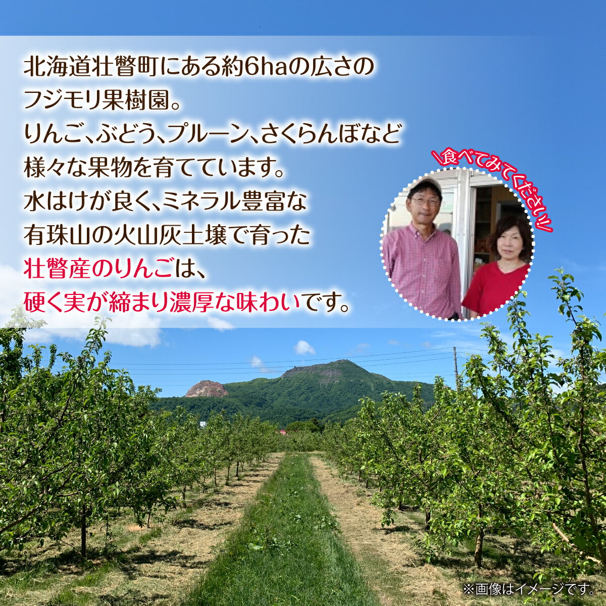 【ふるさと納税】【先行予約】＜2026年12月上旬よりお届け＞北海道壮瞥町　訳ありりんご　品種名「サンふじ」約10kg【 りんご リンゴ 林檎 果物 フルーツ 甘い 爽やか 香り 濃厚 北海道産 壮瞥町 数量限定 】SBTF030