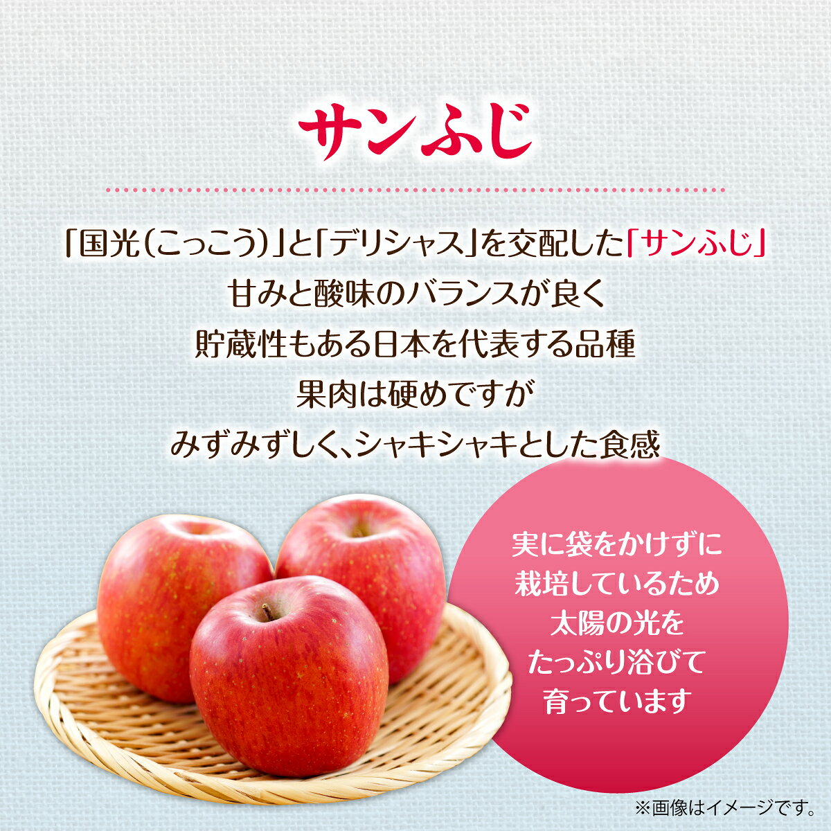 【ふるさと納税】＜2026年12月上旬よりお届け＞北海道壮瞥町　訳ありりんご　品種名「サンふじ」約10kg【 りんご リンゴ 林檎 果物 フルーツ 甘い 爽やか 香り 濃厚 北海道産 壮瞥町 数量限定 】SBTF030 f015750-sobetsu-10000793 北海道壮瞥町 サンプル画像3