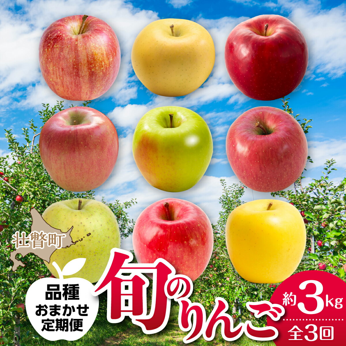 【ふるさと納税】【先行予約】＜10・11・12月お届け＞北海道壮瞥町 旬のりんご 約3kg おまかせ定期便...