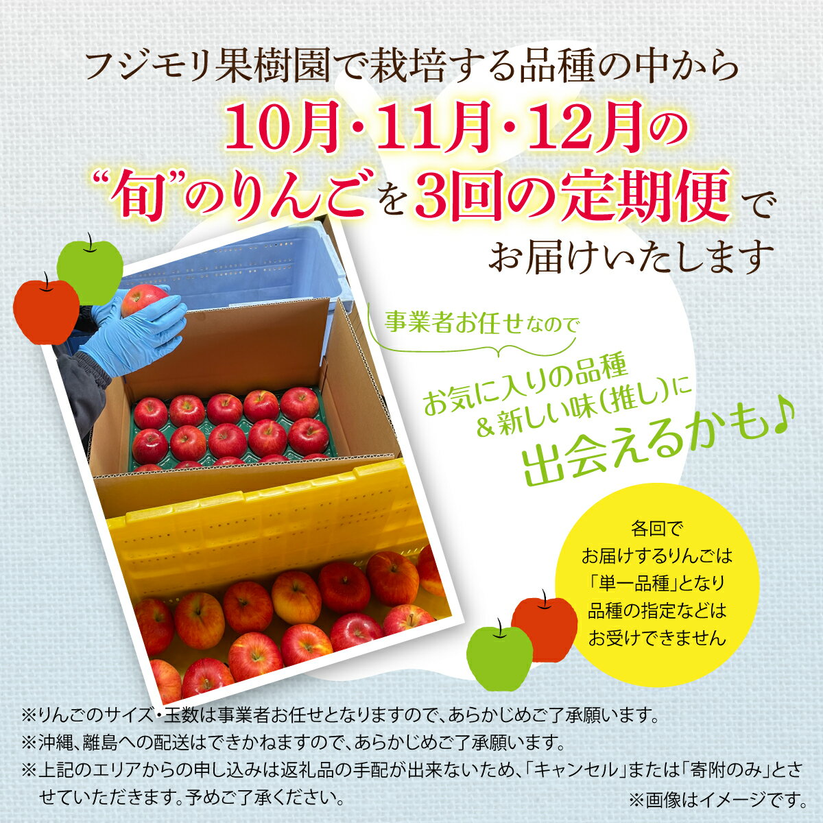 【ふるさと納税】【先行予約】＜10・11・12月お届け＞北海道壮瞥町 旬のりんご 約3kg おまかせ定期便【 りんご リンゴ 林檎 果物 フルーツ 甘い 爽やか 香り 濃厚 北海道産 壮瞥町 数量限定 】SBTF030