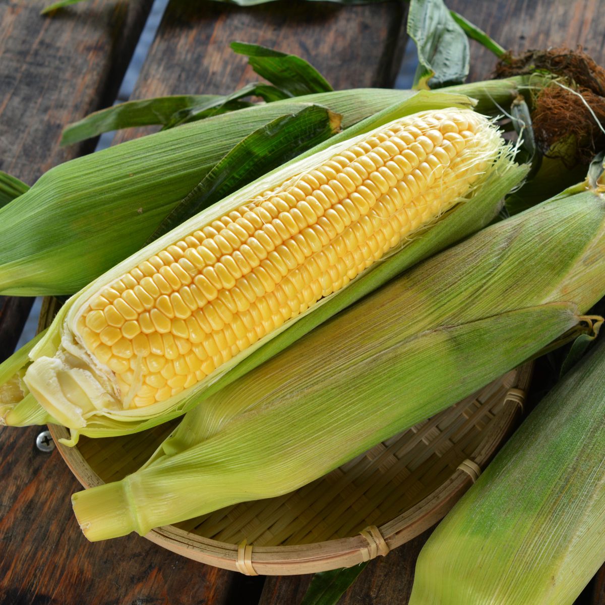 【ふるさと納税】＜2026年8月下旬よりお届け＞【朝採り】北海道壮瞥町産　とうもろこし恵味（めぐみ）Lサイズ以上約10kg（22～25本）【 ふるさと納税 人気 とうもろこし 恵味 めぐみ コーン 朝採り スープ 野菜 旬 甘い 新鮮 北海道産 北海道 壮瞥町 送料無料 】 SBTL013