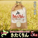 【ふるさと納税】【令和7年産新米】10月上旬よりお届け あのさんちの美味しいお米 きたくりん 精米5kg 【 ふるさと納税 人気 おすすめ ランキング 米 こめ 精米 白米 ご飯 コメ ごはん きたくりん 北海道産 北海道 壮瞥町 送料無料 】 SBTL016