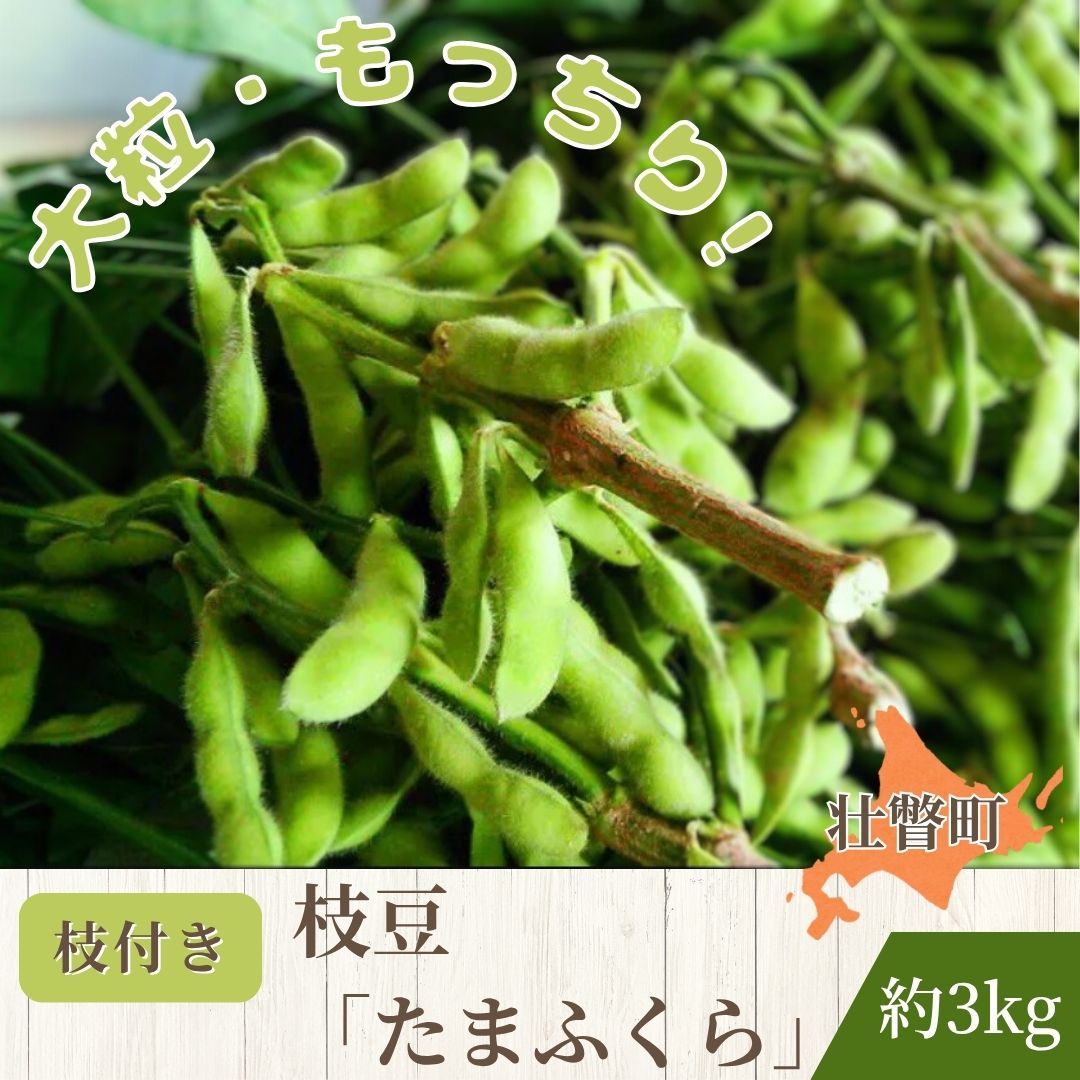 [9月中旬よりお届け]枝付き枝豆 「たまふくら」約3kg 北海道壮瞥町産 ふるさと納税 人気 おすすめ ランキング 枝豆 えだまめ エダマメ 野菜 豆 まめ マメ おつまみ つまみ 北海道 壮瞥町 送料無料
