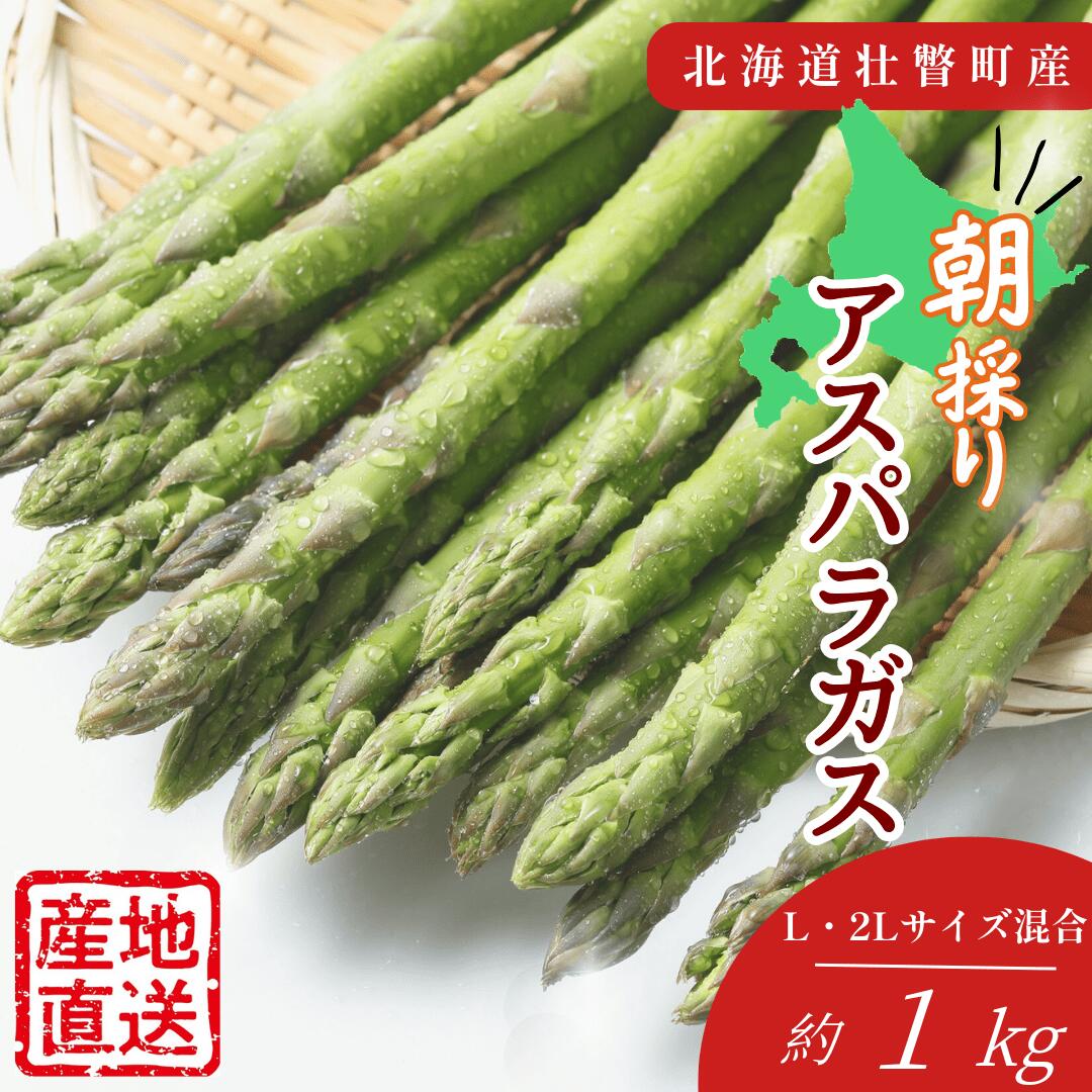 【ふるさと納税】朝採れ直送 グリーンアスパラ約1kg（L・2L混合）＜2026年5月中旬頃よりお届け＞【アスパラガス アスパラ 野菜 春 春芽 新鮮 旬 とれたて 北海道 壮瞥町 クール便 送料無料 人気 おすすめ ランキング】SBTM008