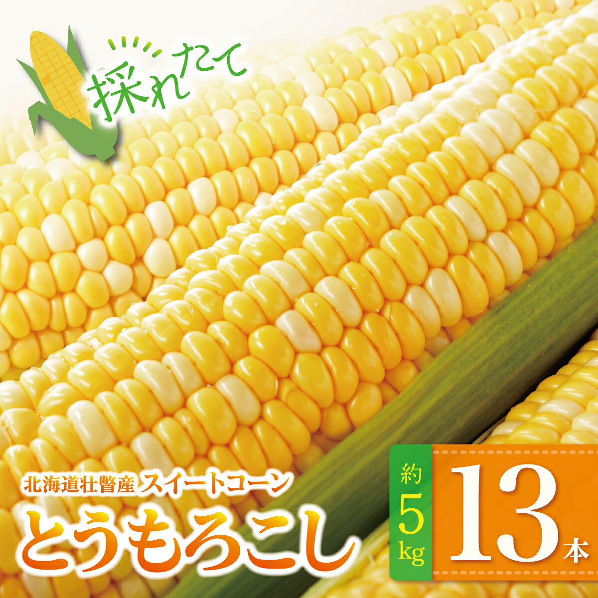 乐天商城 - 【ふるさと納税】＜2026年8月上旬よりお届け＞北海道壮瞥産 とうもろこし（スイートコーン）13本 約5kg ふるさと納税 人気 おすすめ ランキング トウモロコシ とうもろこし スイートコーン 野菜 甘い 北海道 壮瞥町 送料無料 SBTN001