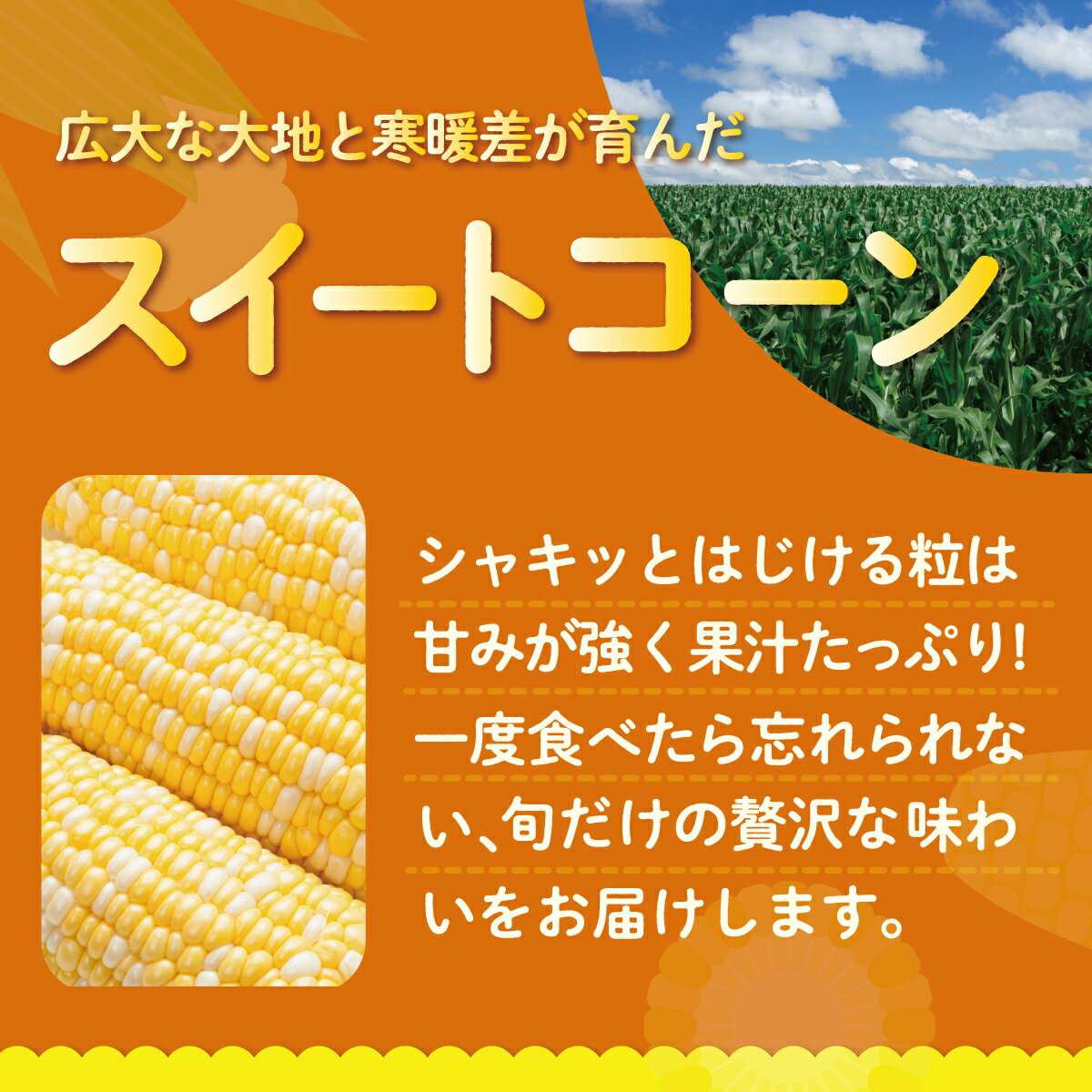 【ふるさと納税】【先行予約】【定期便2回】スイートコーン約5kg(13本) ＋じゃがいも(とうや)約10kg 旬の野菜定期便〈8月上旬・9月下旬お届け〉とうもろこし スイートコーン ドルチェドリーム ハワイコーン じゃがいも とうや 芋 旬 人気 野菜 やさい 北海道壮瞥町 SBTN013