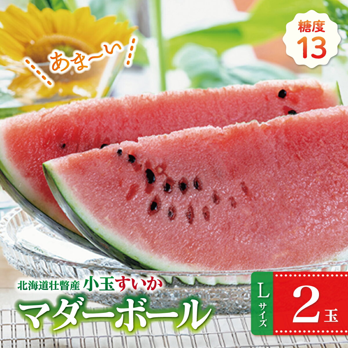 【ふるさと納税】＜2026年8月上旬よりお届け＞北海道壮瞥産　新山すいか 小玉すい...