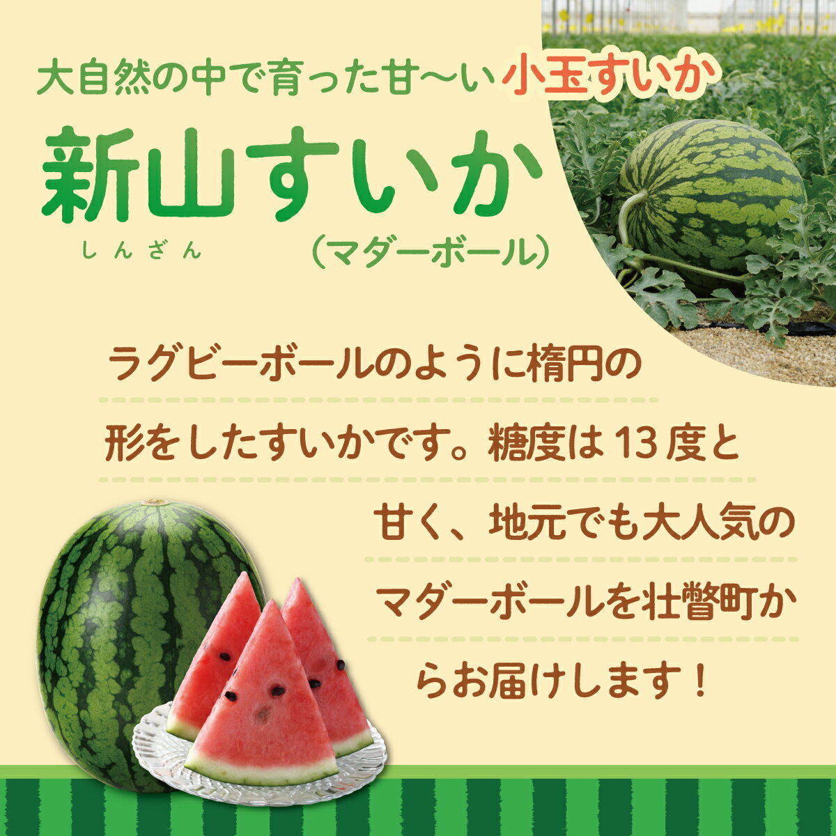 【ふるさと納税】＜2026年8月上旬よりお届け＞北海道壮瞥産　新山すいか 小玉すいか（マダーボール）Lサイズ2玉 スイカ　ふるさと納税 人気 おすすめ ランキング スイカ すいか 西瓜 マダーボール 甘い 小玉 北海道 壮瞥町 送料無料 SBTN002