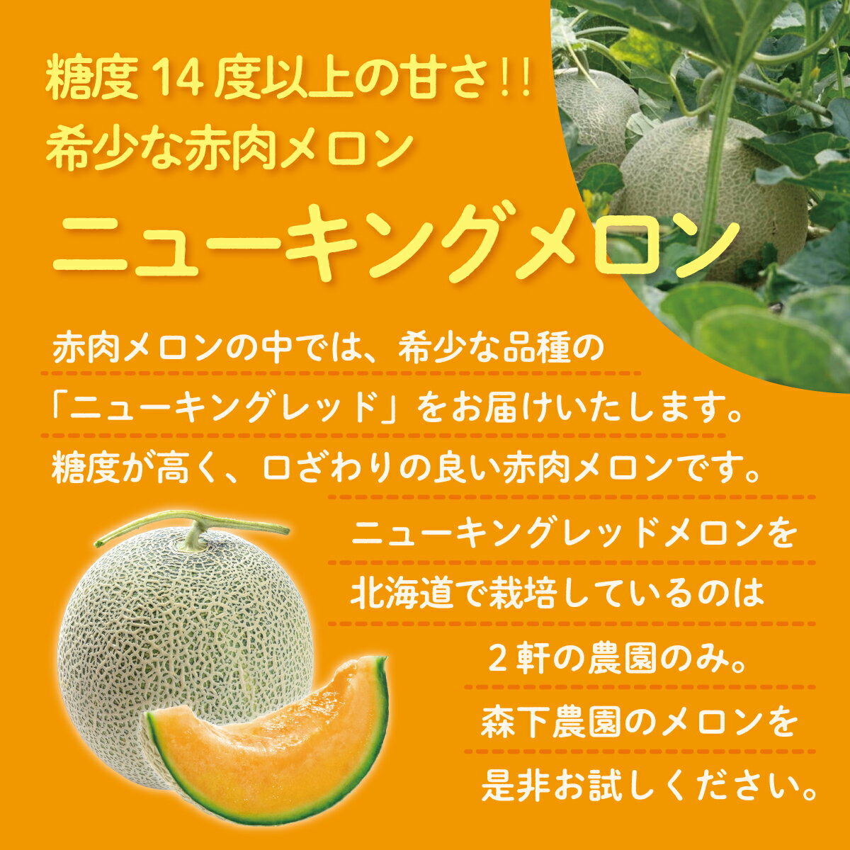 【ふるさと納税】北海道産 赤肉メロン ニューキングメロン 糖度14度以上 2玉 お中元 ギフト 産地直送 7月下旬発送 メロン