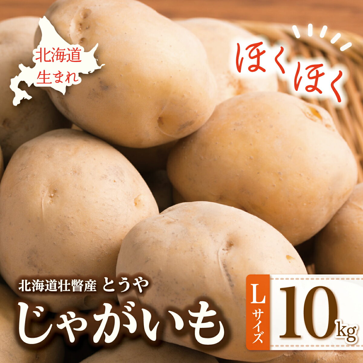 Other - 【ふるさと納税】＜2026年9月下旬よりお届け＞北海道壮瞥町産じゃがいも（とうや）Lサイズ10kg　【 ふるさと納税 人気 おすすめ ランキング 野菜 いも 芋 じゃがいも じゃが芋 ジャガイモ ポテト国産 おいしい 美味しい 北海道 壮瞥町 送料無料 】　SBTN005