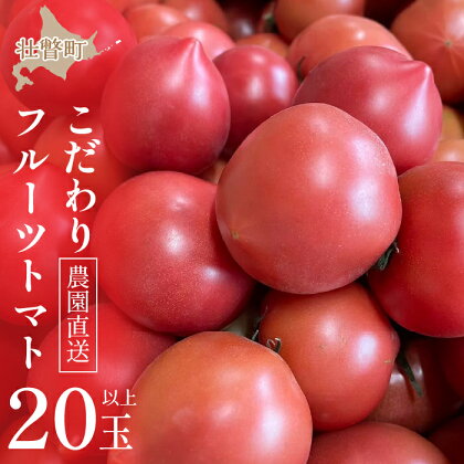 ＜2024年6月下旬よりお届け＞【農園直送】北海道壮瞥産 こだわりフルーツトマト　20玉以上 ふるさと納税 人気 おすすめ ランキング トマト とまと フルーツトマト 野菜 おいしい 大容量 北海道 壮瞥町 送料無料 SBTO003