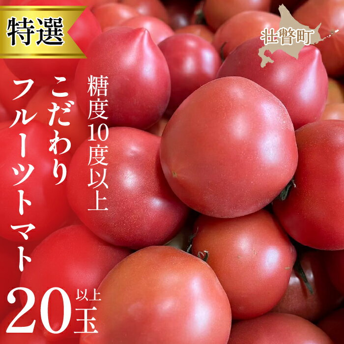 【ふるさと納税】＜2024年6月下旬よりお届け＞【特選・糖度10度以上】【農園直送】北海道壮瞥産 こだわりフルーツトマト 20玉以上 ふるさと納税 人気 おすすめ ランキング トマト とまと フルーツトマト 野菜 おいしい 大容量 北海道 壮瞥町 送料無料 SBTO005