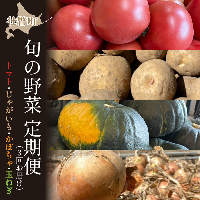 【ふるさと納税】＜2025年7月中旬よりお届け＞【農園直送】「清水農園」旬の野菜の定期便（3回お届け）【 ふるさと納税 人気 おすすめ ランキング トマト とまと じゃがいも ジャガイモ 玉ねぎ たまねぎ かぼちゃ 南瓜 野菜 北海道 壮瞥町 送料無料 】 SBTO007のサムネイル