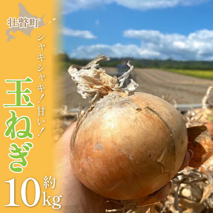 30位! 口コミ数「0件」評価「0」＜2024年9月初旬よりお届け＞北海道壮瞥町産　玉ねぎ約10kg ふるさと納税 人気 おすすめ ランキング 玉葱 玉ねぎ たまねぎ タマネギ･･･ 