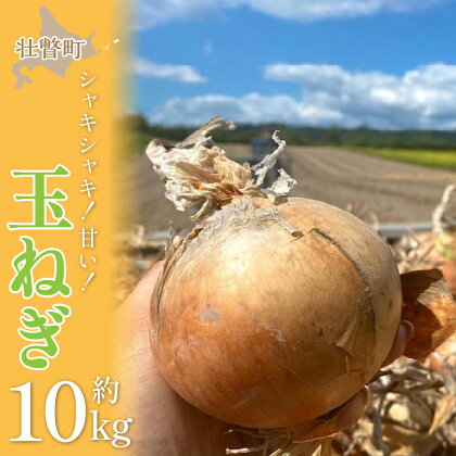 ＜2024年9月初旬よりお届け＞北海道壮瞥町産　玉ねぎ約10kg ふるさと納税 人気 おすすめ ランキング 玉葱 玉ねぎ たまねぎ タマネギ オニオン 甘い 北海道 壮瞥町 送料無料 SBTO009