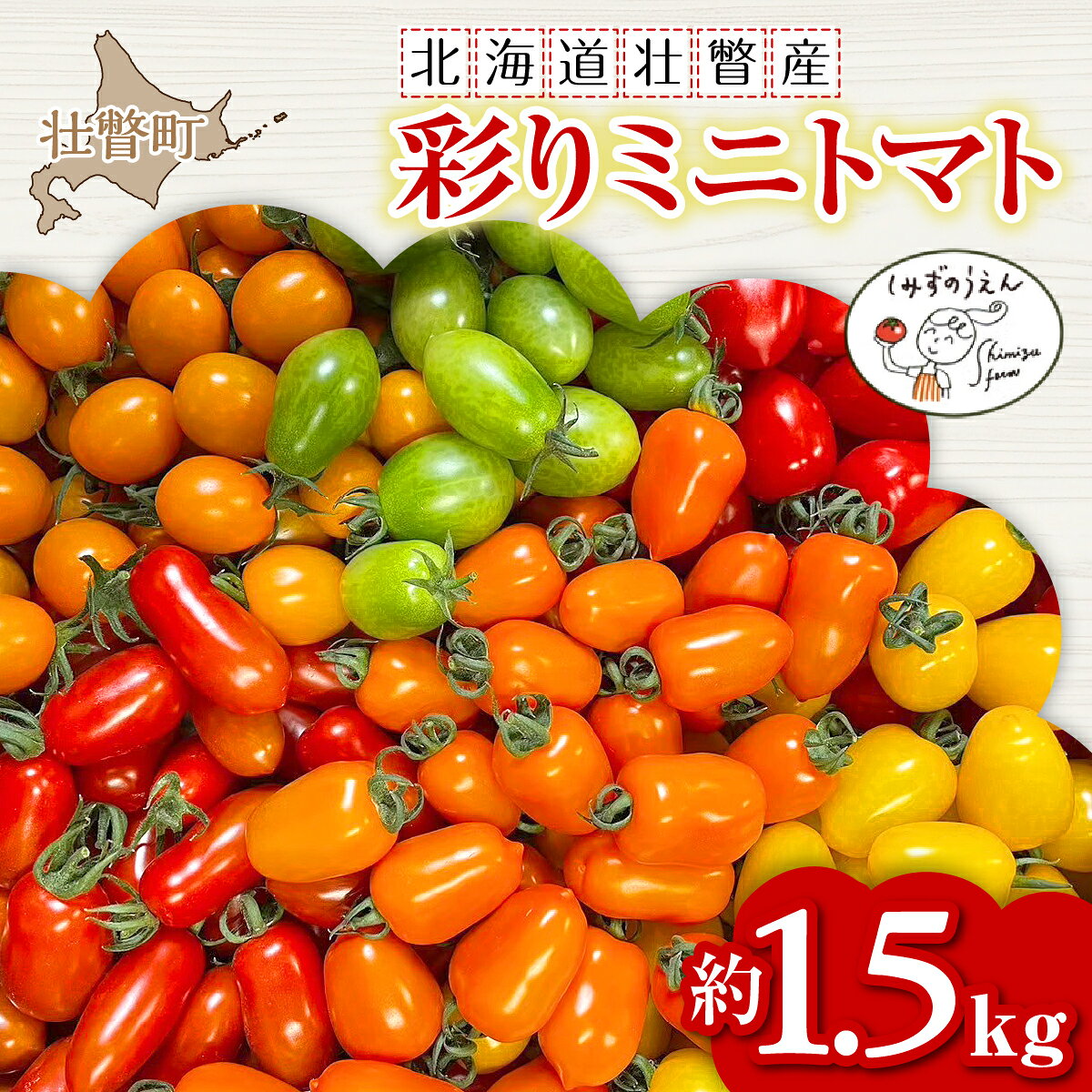 【2027年発送】北海道壮瞥町産 トマト ミニトマト カラフル 約1.5kg 大容量 甘い 清水農園 産地直送 冷蔵 人生の楽園出演