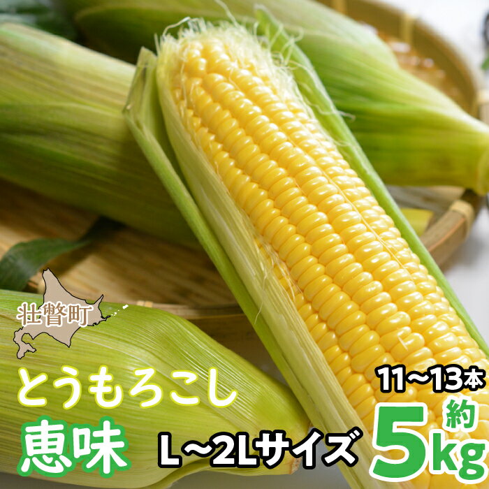 16位! 口コミ数「0件」評価「0」＜2024年8月初旬よりお届け＞約5kg！北海道壮瞥産とうもろこし（恵味）【L～2Lサイズ 11～13本】 ふるさと納税 人気 おすすめ ラ･･･ 