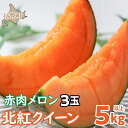 【ふるさと納税】<2026年7月上旬よりお届け>北海道壮瞥産 赤肉メロン「北紅クイーン」3玉入り 約5kg以上 【 ふるさと納税 人気 おすすめ ランキング メロン めろん 北紅クイーン 果物 甘い 赤肉 北海道 壮瞥町 送料無料 】SBTP005