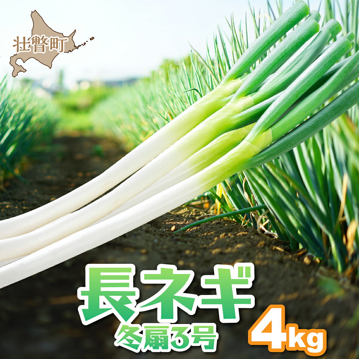 【先行予約 2026年12月中旬頃よりお届け】北海道産 ねぎ 長ネギ 冬扇3号 約4kg 豊かな甘み 太くてとろける食感 清水初男農園 産地直送 北海道 壮瞥町 SBTP012