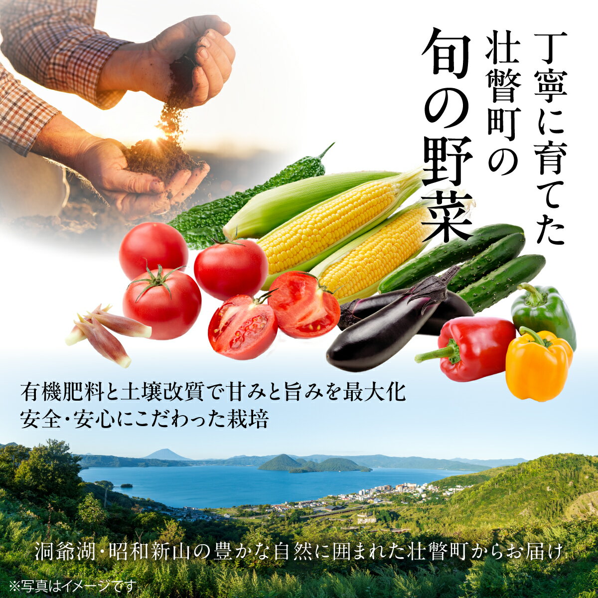 【ふるさと納税】【先行予約・朝もぎ直送】北海道壮瞥町産 とうもろこし（恵味）10kg 22～25本 L～2Lサイズ 8月初旬より順次お届け