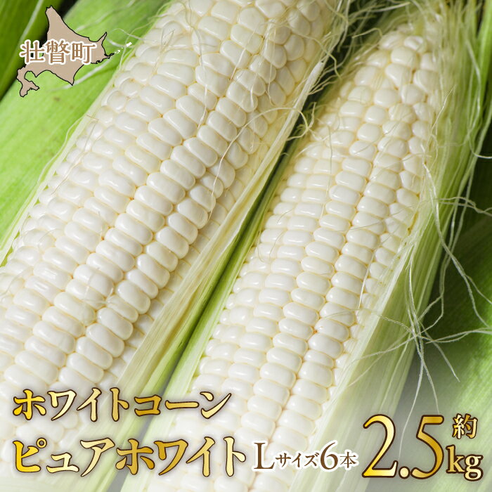 3位! 口コミ数「1件」評価「5」＜2024年8月下旬よりお届け＞【朝採り】北海道壮瞥町産　ホワイトコーン「ピュアホワイト」Lサイズ以上6本（約2.5kg）ふるさと納税 人気･･･ 