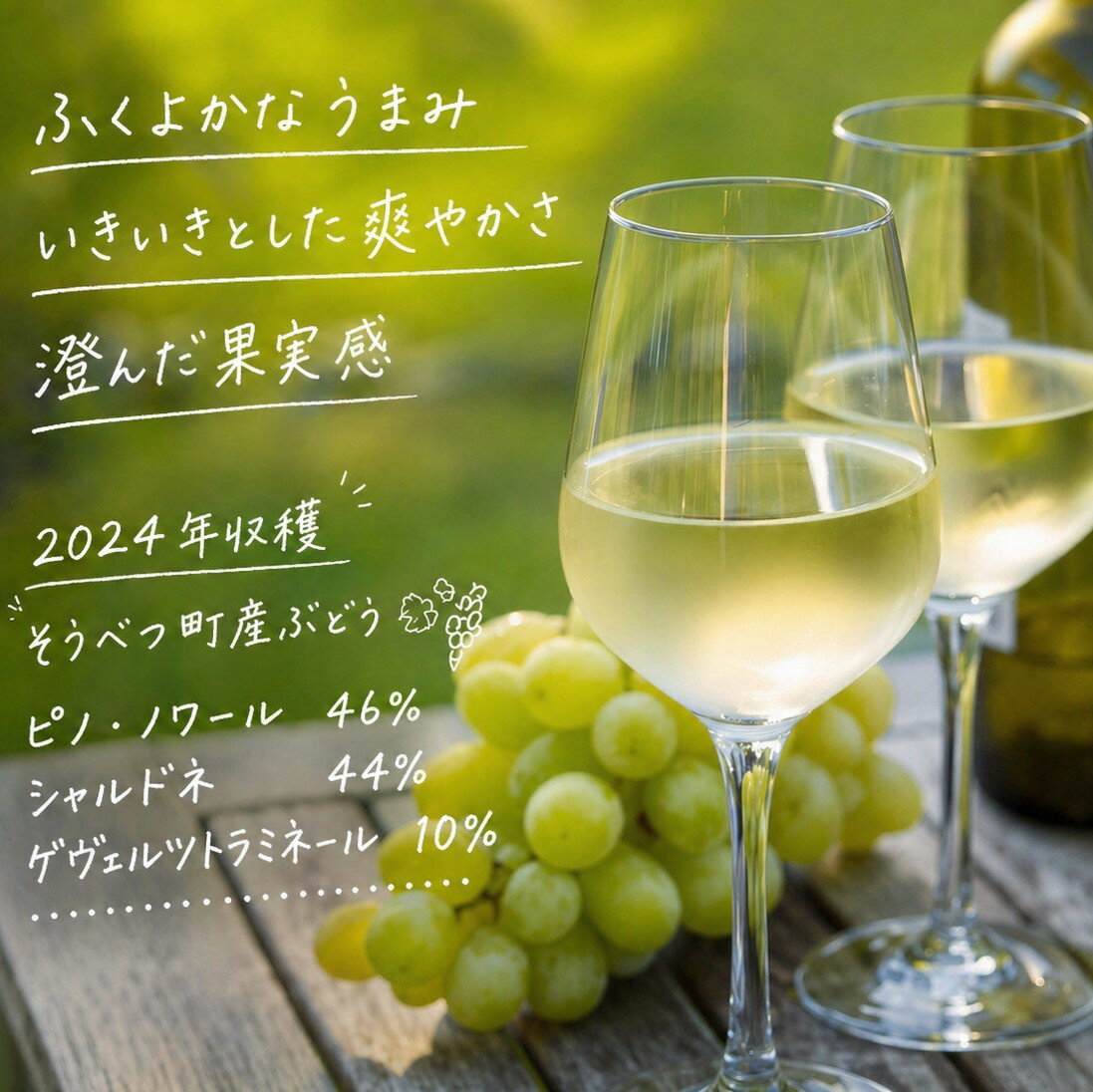 【ふるさと納税】昭和新山ワイン Montagne 2024 無濾過(モンターニュ)白ワイン 辛口 750ml 1本【ふるさと納税 人気 おすすめ 白ワイン 昭和新山 ワイン 白 辛口 お酒 ぶどう ピノノワール シャルドネ ケヴェルツトラミネール 丹波ワイン 北海道 壮瞥町 送料無料】SBTQ013