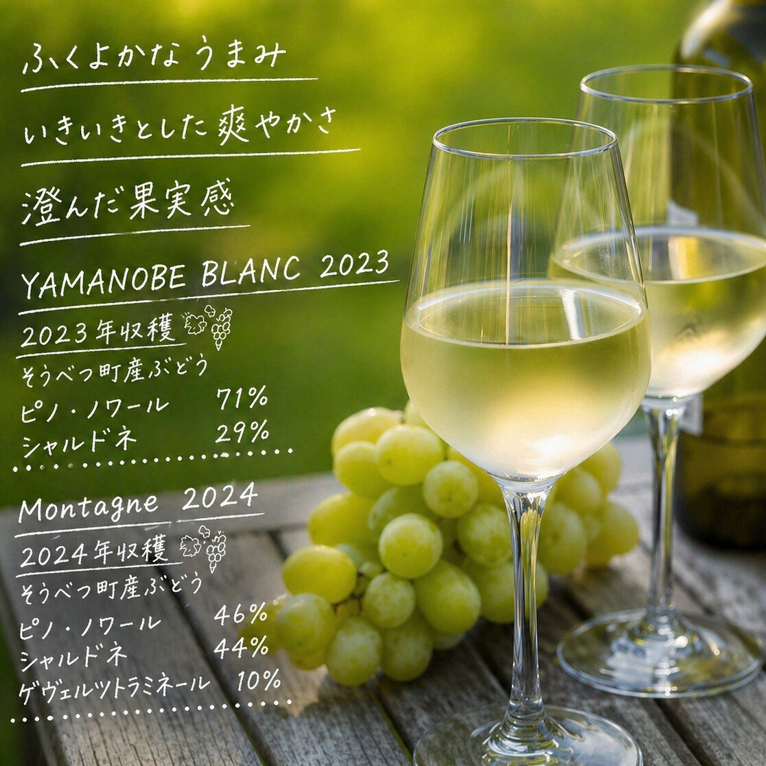 【ふるさと納税】昭和新山ワイン YAMANOBE BLANC 2023(ヤマノベブラン)、Montagne 2024 無濾過(モンターニュ)白ワイン 辛口 750ml 各1本セット 【ふるさと納税 人気 おすすめ 白ワイン 昭和新山 辛口 お酒 ぶどう 丹波ワイン セット 飲み比べ 北海道壮瞥町 送料無料】SBTQ014
