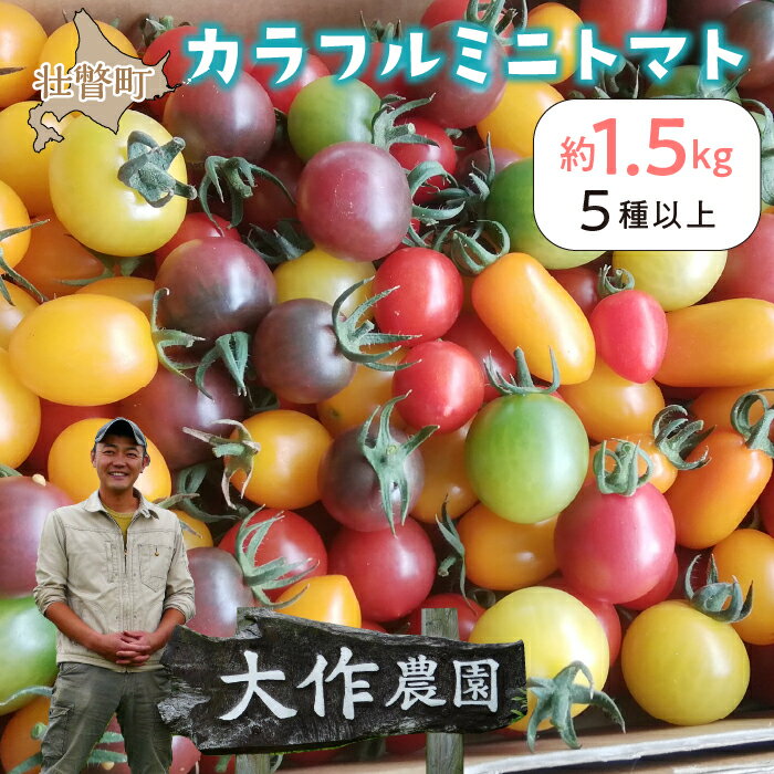 28位! 口コミ数「0件」評価「0」＜2024年7月上旬よりお届け＞北海道壮瞥産 大作農園のカラフルミニトマト約1.5kg(5種以上) ふるさと納税 人気 おすすめ ランキング･･･ 