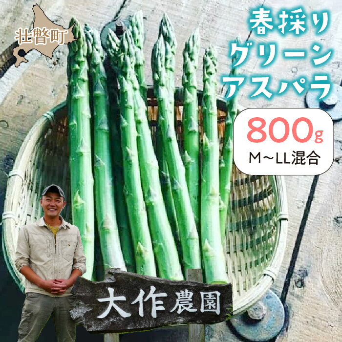 11位! 口コミ数「0件」評価「0」＜2024年4月中旬よりお届け＞【朝採り】北海道壮瞥町産　春採りグリーンアスパラM～LL混合　約800g ふるさと納税 人気 おすすめ ラン･･･ 