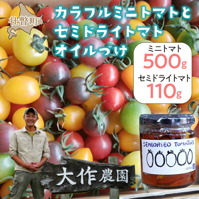 北海道壮瞥産 大作農園の「カラフルミニトマト」約500g（5種以上）とセミドライトマトオイル漬け1瓶（110g）のセット ふるさと納税 人気 おすすめ ランキング トマト ミニトマト アイコ オイル漬け 野菜 甘い パスタ サラダ 北海道 壮瞥町 送料無料 SBTR008