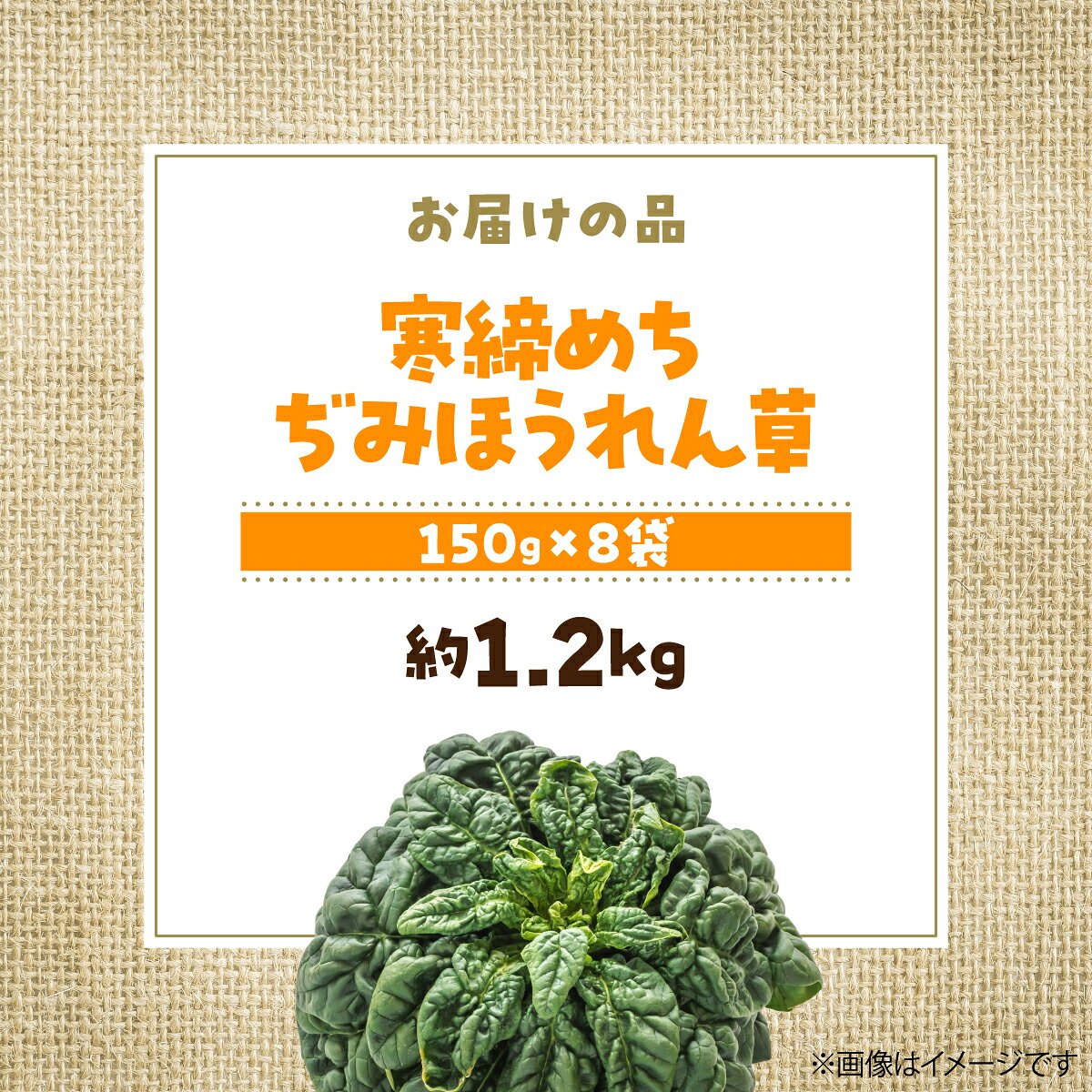 【ふるさと納税】＜2026年12月上旬よりお届け＞大作農園の寒締めちぢみほうれん草...