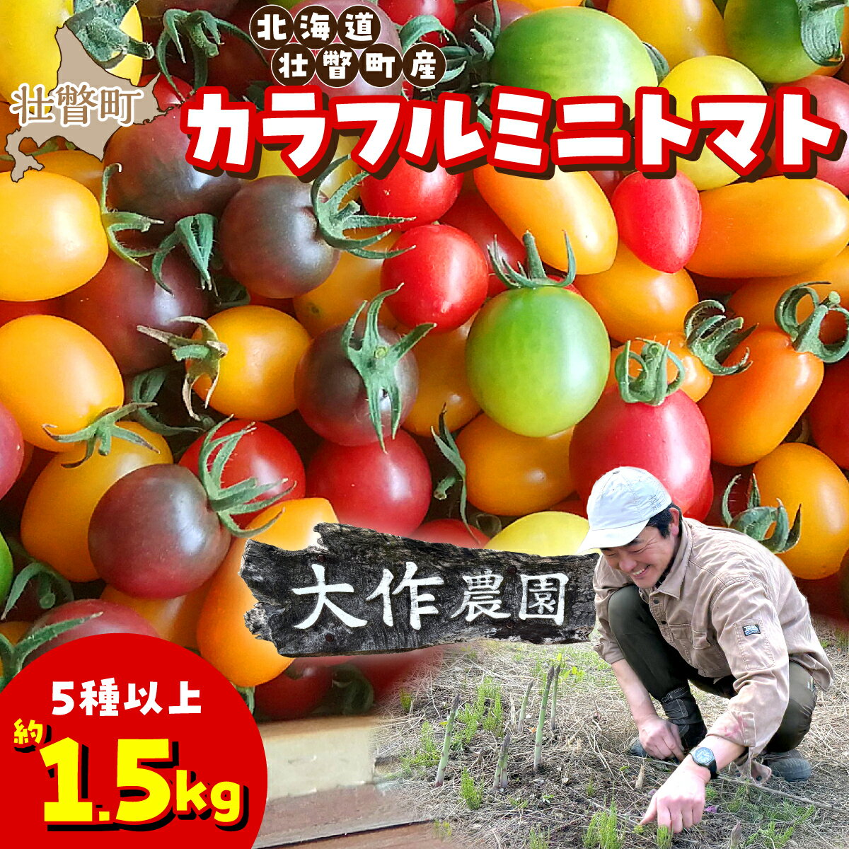 樂天商城 - 【ふるさと納税】＜2026年7月上旬よりお届け＞北海道壮瞥産 大作農園のカラフルミニトマト約1.5kg(5種以上) ふるさと納税 人気 おすすめ ランキング トマト とまと ミニトマト アイコ 野菜 おいしい 大容量 北海道 壮瞥町 送料無料 SBTR002