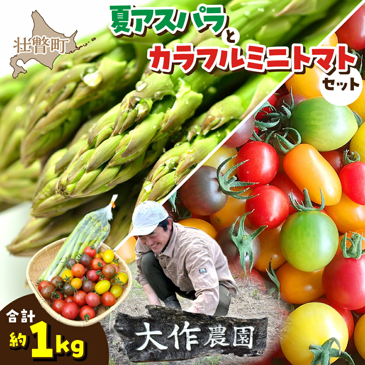 乐天商城 - 【ふるさと納税】＜2026年7月上旬よりお届け＞北海道壮瞥町産　大作農園「夏アスパラとカラフルミニトマト」のセット約1kg 先行予約 ふるさと納税 人気 おすすめ ランキング アスパラ あすぱら トマト とまと ミニトマト 野菜 セット 北海道 壮瞥町 送料無料 SBTR004